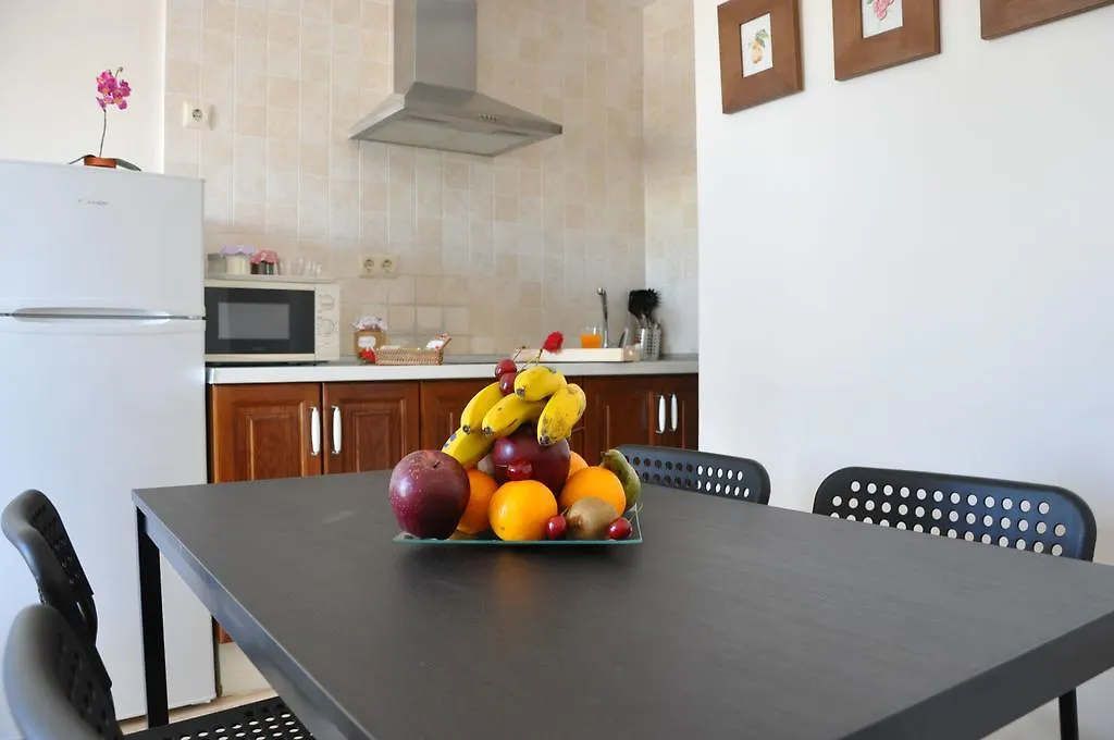Apartment Apartamentos Dunia 211 Puerto del Carmen  Spain